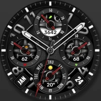 WFP 344 Elegant watch face