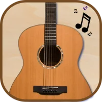 Acoustic Guitar Pro